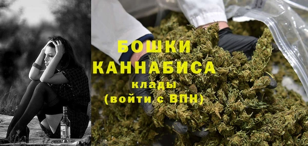 бошки Каменка