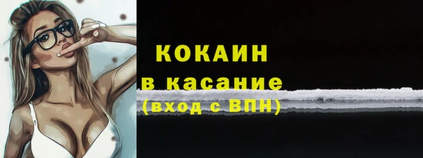 бошки Каменка