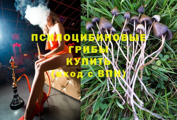 бошки Каменка