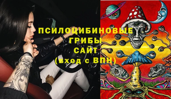 ECSTASY Каменногорск