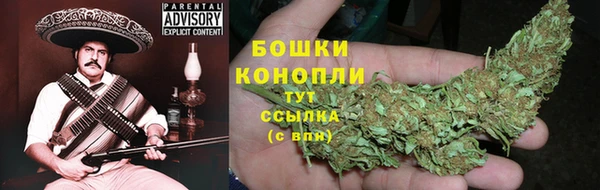 ECSTASY Каменногорск